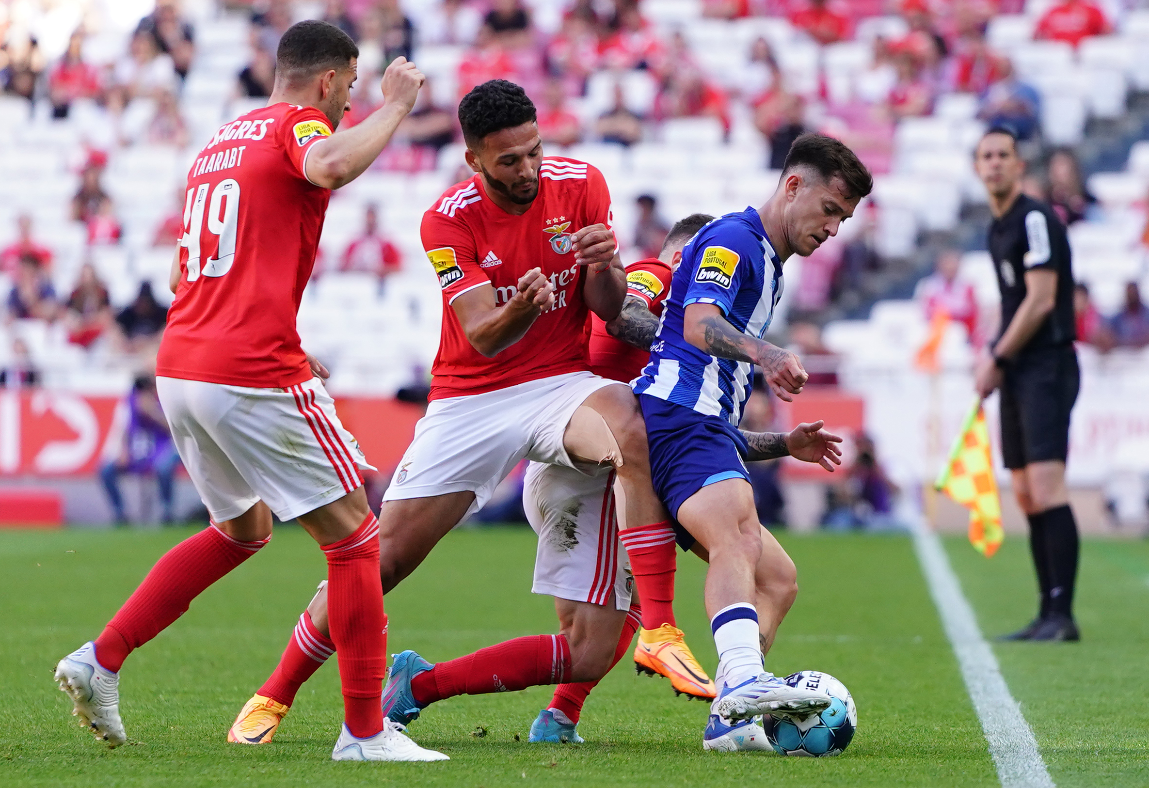 Ver: SL Benfica x Salzburg, Todos os golos em Direto