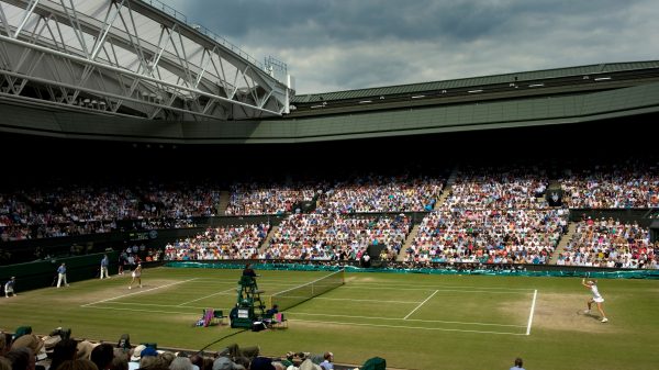 Wimbledon 2024: Daniil Medvedev x Carlos Alcaraz – Prognóstico